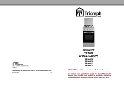 Triomph TE505GB, TE505GN, TE505GX, TE505GS | Manuel IA & PDF
