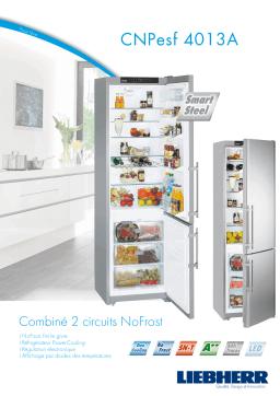 Liebherr CNPesf 4013A: Fiche Technique | AI Chat & PDF