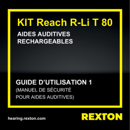 Reach R-Li T 80 Guide d'utilisation | AI Chat & PDF