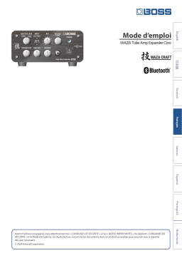BOSS WAZA TAE Core Mode d'emploi + Chat IA