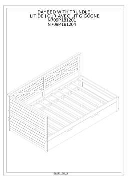 N709P181201, N709P181204: Manuel avec IA + PDF