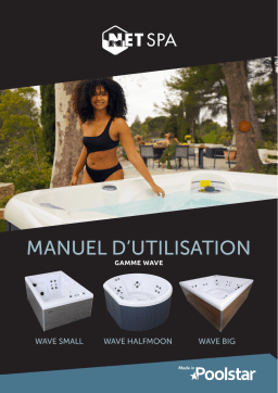 Manuel d'utilisation Wave Small, Halfmoon, Big | AI Chat & PDF