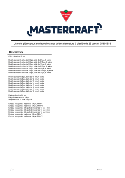 MasterCraft Mechanic's Tool Set Manuel du propriétaire