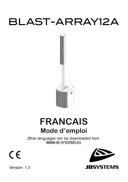 JB systems BLAST ARRAY12A Manuel du propriétaire