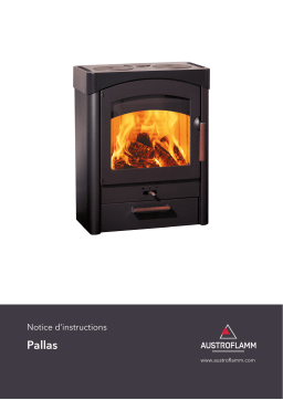 Austroflamm PallaS Manuel utilisateur