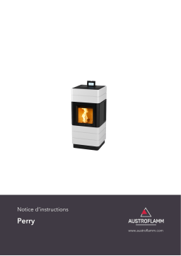 Austroflamm Perry Manuel utilisateur