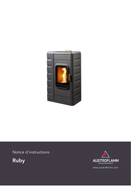 Austroflamm Ruby Manuel utilisateur