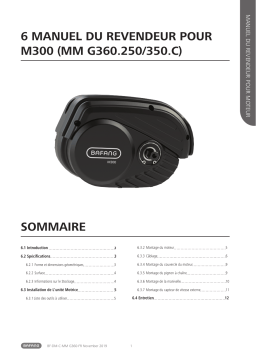 BAFANG M300 MM G360.250.C Manuel du propri&eacute;taire