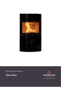 Austroflamm Fynn Xtra Manuel utilisateur