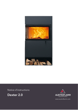 Austroflamm Dexter 2.0 droite Manuel utilisateur