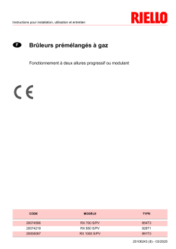 Riello TAU 600 N PREMIX Manuel utilisateur