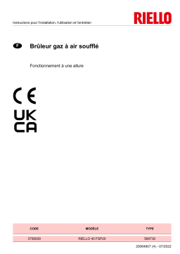 Riello R40 FSP20 1/230/50 Manuel utilisateur