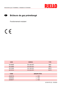 Riello TAU 210 N PREMIX Manuel utilisateur