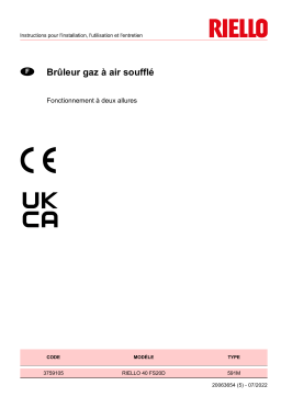 Riello R40 FS20D 1/230/50 Manuel utilisateur