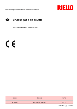 Riello R40 GS20D 1/230/50 Manuel utilisateur