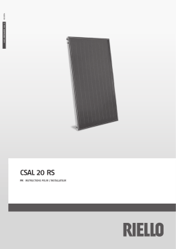 Riello 3 COLLECTRS CSAL 20 RS Manuel utilisateur
