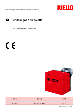 Riello R40 GS3 1/230/50 Manuel utilisateur
