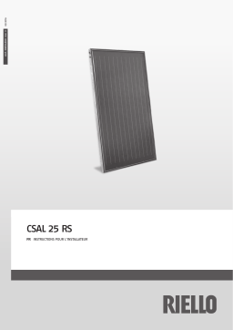 Riello RPS 25/4 550 Manuel utilisateur