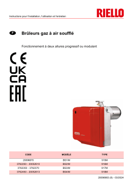 Riello BS4/M 1/230/50 Manuel utilisateur