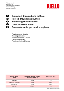 Riello RS5DF 1/220-230/50-60 Manuel utilisateur
