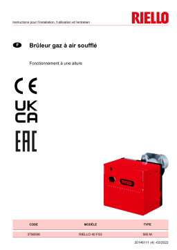 Riello R40 FS3 1/230/50 Manuel utilisateur