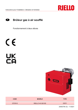 Riello R40 GS10D 1/230/50 Manuel utilisateur
