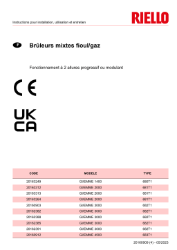Riello GI/EMME 3000 TC FS1 3/400/50 230/50 Manuel utilisateur