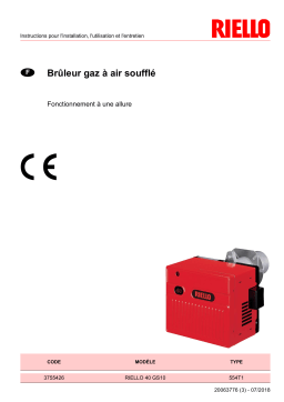 Riello R40 GS10 1/230/50 Manuel utilisateur