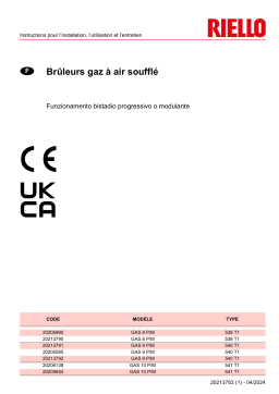 Riello GAS 10 P/M TC FS1 3/400/50 230/50-60 Manuel utilisateur