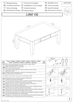 Baur LIAM 100 Manuel utilisateur