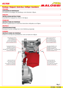 Malossi 4517008 Manuel utilisateur