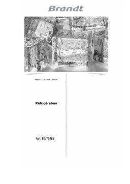 Brandt BIL739EB-01 Manuel du propriétaire
