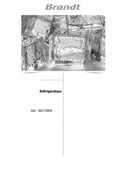 Brandt BIC739EN_01 Manuel du propriétaire