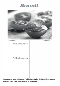 Brandt BPI3641SB Manuel du propriétaire