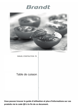 Brandt BPI364HSB Manuel du propriétaire