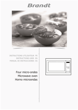 Brandt SMS7140X Manuel du propriétaire