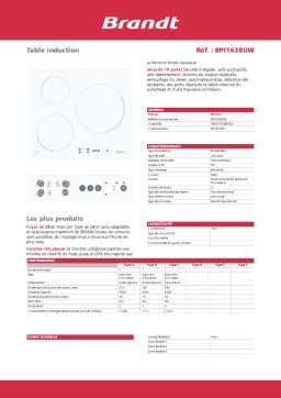 Brandt BPI1638UW Manuel du propriétaire
