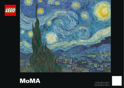 Lego 21333 Ideas Manuel utilisateur