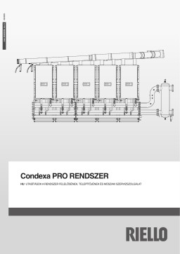 Riello Condexa PRO 57 P Manuel utilisateur