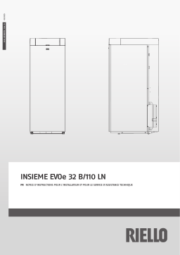 Riello INSIEME EVOe 32 B/110 LN Manuel utilisateur