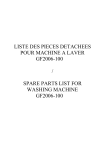 Danube GF2006-100 Manuel utilisateur