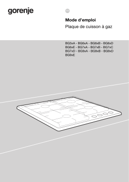 Gorenje BG6AB-G0B Une information important