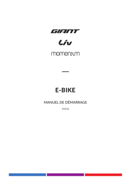 Giant V10.0 Manuel du propriétaire