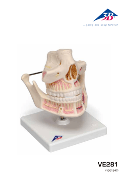 3B VE281 Manuel utilisateur