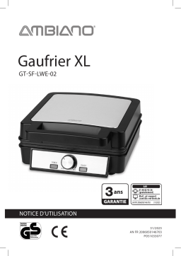 Ambiano GT-SF-LWE-02 Manuel utilisateur