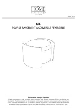 AveSix SBL-B97 Mode d'emploi