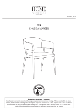 AveSix FTN-S97 Mode d'emploi