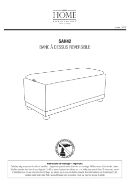 AveSix SAH42-C96 Mode d'emploi