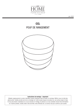 AveSix CCL-S91 Mode d'emploi