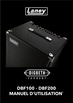 Laney DBF100, DBF200, User Manuel utilisateur